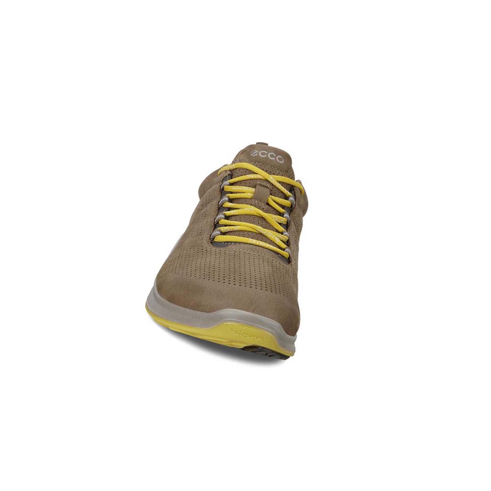 Férfi Ecco Mens Biom Fjuel Perf Hiking & Trail Barna | HU 568JPQ